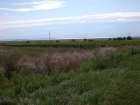 Bild Nr. 15
Uploadtime: 2009-05-29, 01:05:32