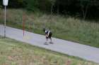 Bild Nr. 4
Uploadtime: 2009-09-02, 23:09:31